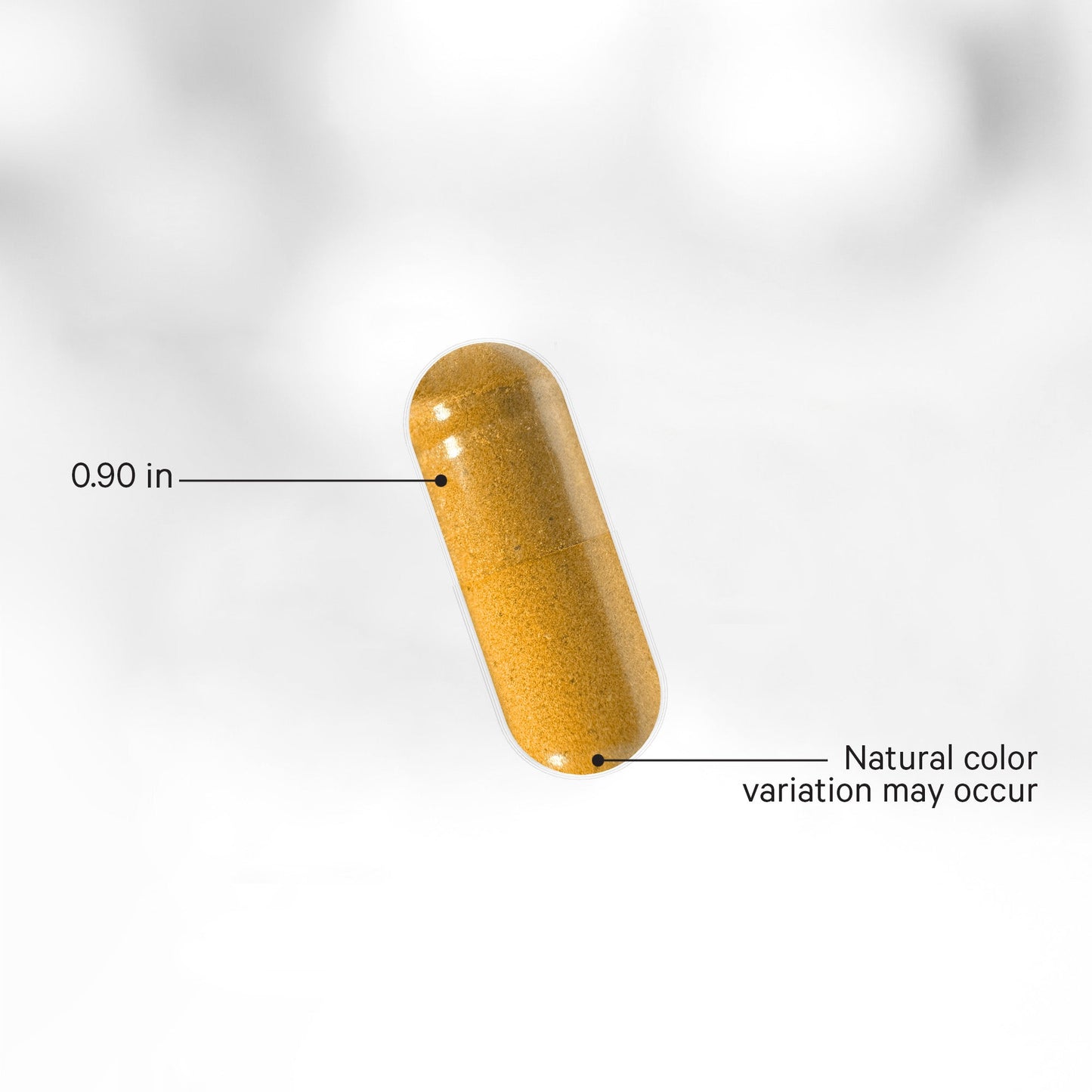 Fermented Turmeric Curcumin Supplement Capsule